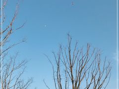 -盘龙城国家考古遗址公园