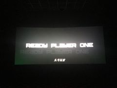 -AMG海上明珠影城(上海环球港RealDCinema店)