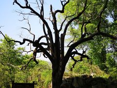 -北京密云天门山风景区