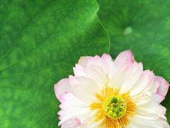 -南戴河国际娱乐中心