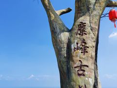 -长沙黑麋峰国家森林公园