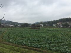 -红山村