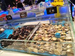 -加餐海鲜自助(宝龙一城店)
