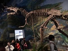 -自贡恐龙博物馆