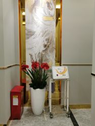 -CICI纤美·科技减肥美容