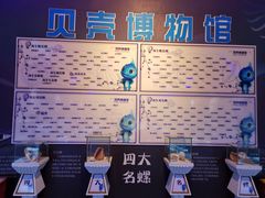 -贝壳梦幻世界
