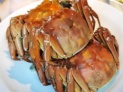 -苏帮袁Sue Cuisine(来福士店)