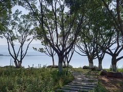 -西昌邛海湿地