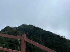 -王顺山国家森林公园