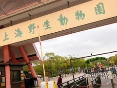 -野生动物园-停车场
