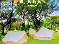 -广东花都香草世界旅游度假区