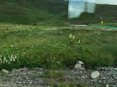 -长白山吉祥物天池水怪专卖