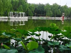 -丰台花园