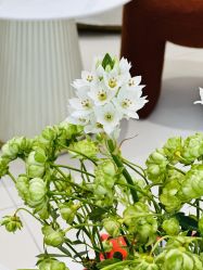 -WENDY·温迪皮肤管理