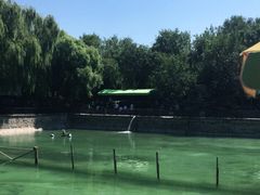 -尚庄度假村·庭台树下·户外烧烤·团建CS·轰趴营地(上庄水库店)