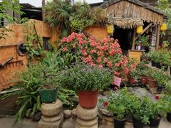 -园林美食城·本土农家菜(杨和镇店)