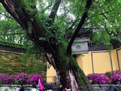 -无锡惠山寺