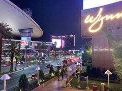 -拉斯维加斯永利酒店