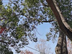 -嘉北郊野公园