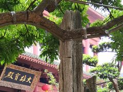 -仁寿寺