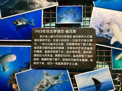 -海合安武汉极地海洋公园