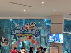 -帝企鹅自助餐厅•儿童岛•真企鹅(长隆企鹅酒店)