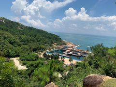 -广东惠东海龟国家级自然保护区