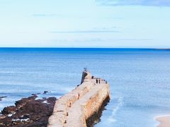 -海德公园