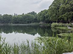 -东湖听涛景区