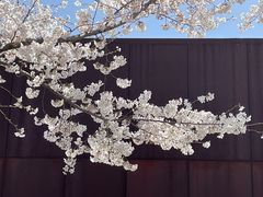 -龙美术馆(西岸馆)