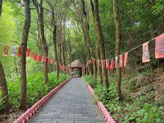 -黄山翡翠谷景区