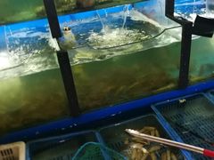 -老东镇啤酒屋海鲜加工·蒸汽海鲜·海鲜烧烤(台东店)