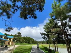 -海南热带雨林国家公园吊罗山景区