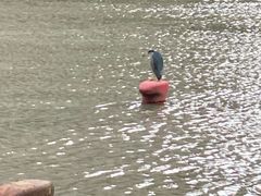 -苏州河梦清园环保主题公园