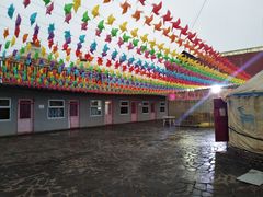 -张北坝上草原