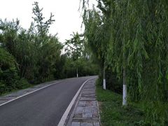 -白鹭湾湿地公园