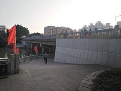 -光明港公园