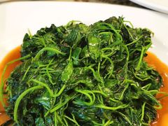 -新聚丰菜馆(太监弄店)
