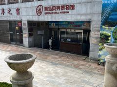 -青岛贝壳博物馆