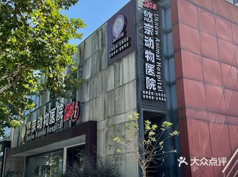 爱宠的第二个家|悠奈宠物医院