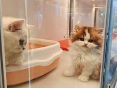 -万达广场(北京槐房店)