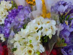 -循礼门鲜花花市(武汉循礼门店)