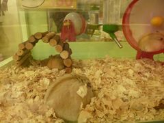 -龙猫仔乐园(惠福东路店)