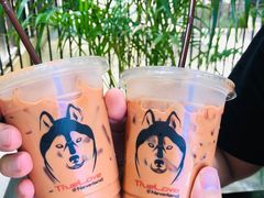 -TrueLove @ Neverland (Husky Cafe)