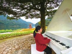 -广州市石门国家森林公园