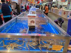 海鲜-盒马X会员店(王府井奥莱UP TOWN店)