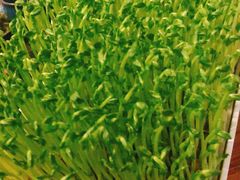 活豆苗-湊湊火锅·茶憩(上海合生汇店)