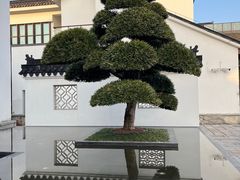 -广富林宰相府酒店·水云间