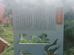 -沈阳故宫