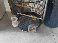 -郑远元专业修脚房(宣化路店)